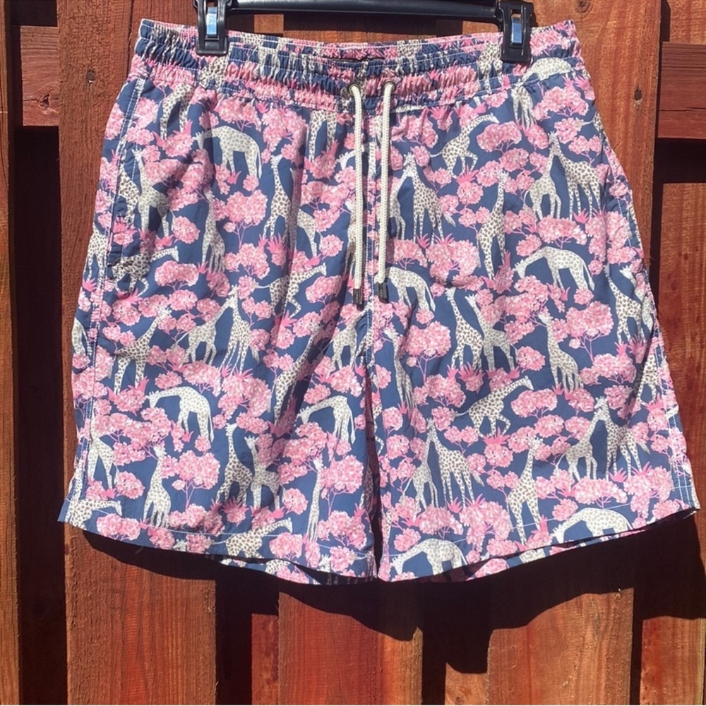 Allen Edmonds Pink and Blue Giraffe Patterned Shorts Size L